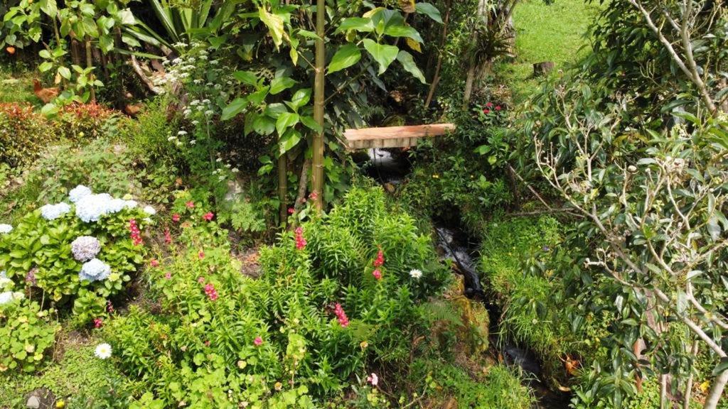 Hotel Malokas Agua Vida & Naturaleza à Villa de Leyva Extérieur photo